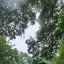 하늘정원1 - 보은군 구병길 4-24 | 하늘정원1