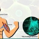 라온힐요양병원 이미지