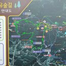 모암축제장 화장실 이미지