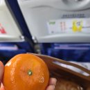 호산마을 | 가성비 끝판왕 바른투어 칭다오 2박3일 패키지 여행후기(돌아온 엄마의 보이차)