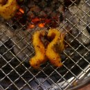 신참아나고 이미지