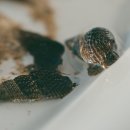 한림별채 이미지