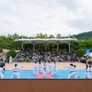 K-컬처의 성수, 태권도 보러 오세요… 2026 서울시 태권도공연 개막 공연 성료 이미지