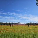 신소양체육공원화장실(주차장) 이미지