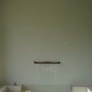 스테이 띠앗 이미지