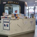 미드미동물병원 | 김포 마산동, 미드미 동물병원