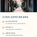 긴고랑로 이미지