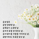 금빛찬란 이미지