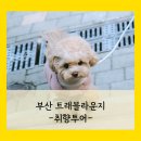 투어라운지주 이미지