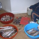 아리랑프라자 이미지