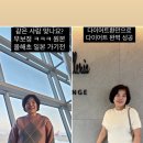 허브23다이어트