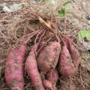 달빛민박 이미지