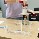 큰나무학원 이미지