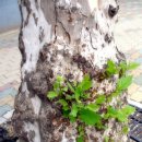 우리PC방 이미지