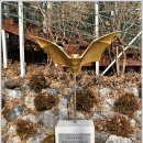 청석굴靑石窟 이미지