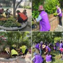 논현1동-2 이미지