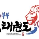 경희대부부이문태권도장 이미지