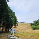 달산 | 달산수원지] 광주 근교 드라이브하기 좋은 피크닉 장소 &#34;무안 달산수원지” 후기(텐트 가능, 취사 불가능)