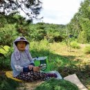 태봉정미소 이미지