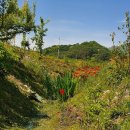 오솔길 농장 이미지