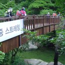속리산송림팬션