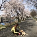 봉동떡방앗간