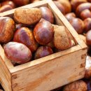 협성농장 이미지