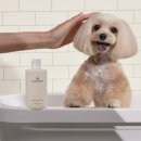 한국펫주식회사 이미지