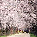 대방천로14길 이미지