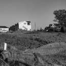 국선 행정사 사무소 이미지