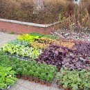 수원-1310 이미지