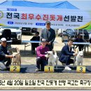 성웅 이미지