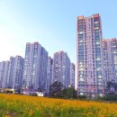 캐슬&해모로공인중개사사무소 이미지