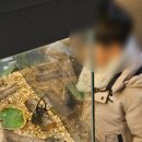 여주곤충박물관 이미지