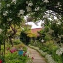 물맑은집 이미지