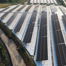 더모아솔라 이미지