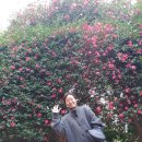 호근동-6 이미지