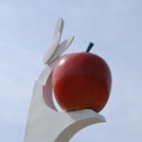 군도1호선 이미지