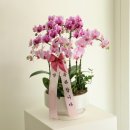 내당2.3동 행정복지센터 이미지