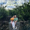클랭블루수동커플&독채&감성숙소 | 제주 서쪽 숙소 추천:) 클랭블루수동 모커리 제주 감성 숙소 솔직후기