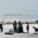 축구공(감동) 이미지