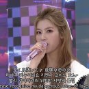 하이터치라이브