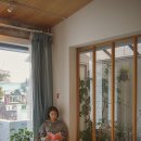 시호일 이미지
