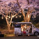 블루코코 컴퍼니 이미지