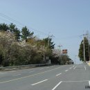 박경리 추모공원 이미지