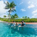 태양광 디오앤피 | 나트랑 알마 리조트 여행기 및 월별 여행 가이드