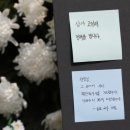 서울서이초등학교 이미지