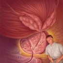 본비뇨기과의원 이미지