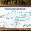 홍길동우드랜드 Daum카페