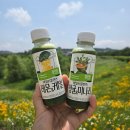 풀무원녹즙 데일리클렌즈 레몬&amp;케일, 청귤&amp;미나리 맛있어요